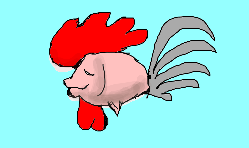 peixe-galo