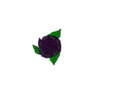 Rosa Negro-Violeta P/Mun