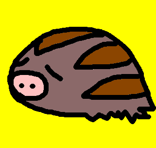 swinub
