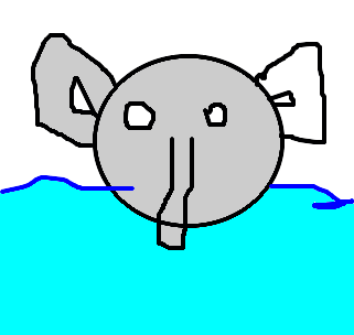 elefante-marinho