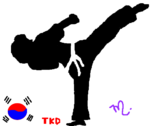Taekwondo *-* 