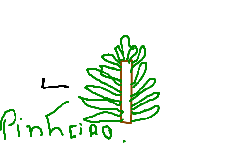 pinheiro
