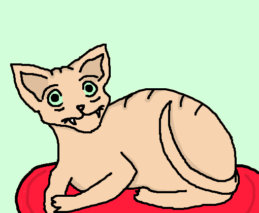 Gato Pelado