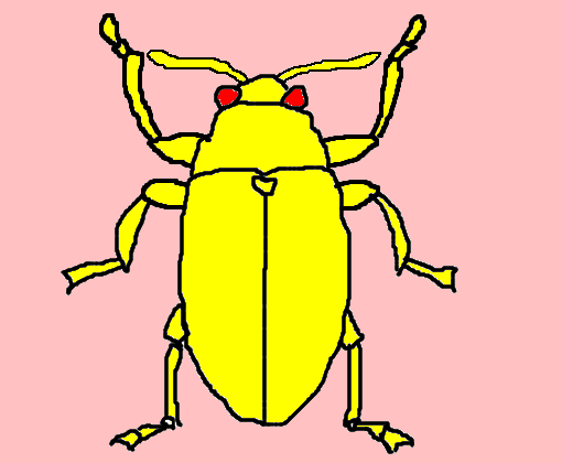 escaravelho de ouro