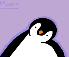 Pinguim Cute S2