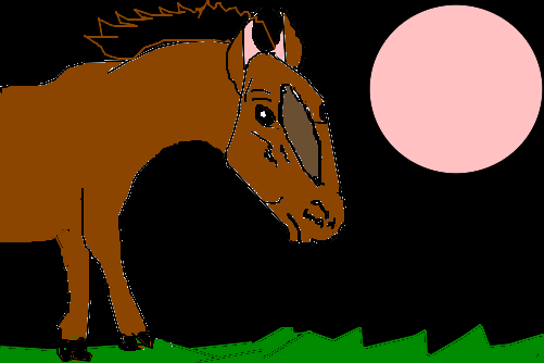 cavalo 