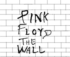 The wall