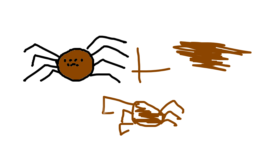 aranha-marrom