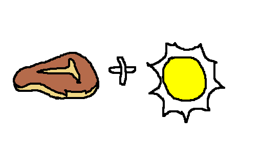 carne de sol