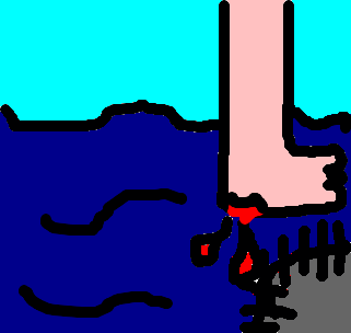 ouriço-do-mar