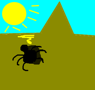 escaravelho