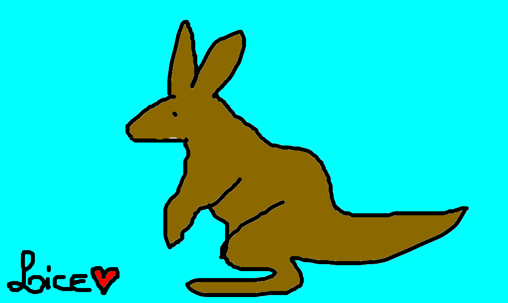 wallaby