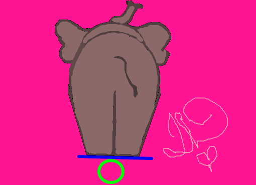 elefante equilibrista