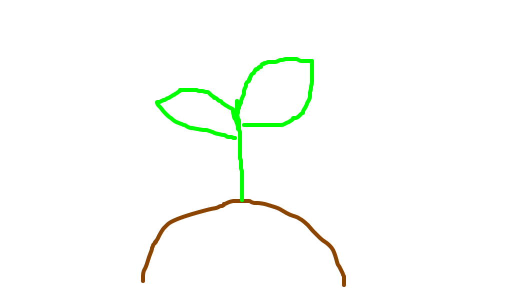 cultivar