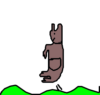 canguru
