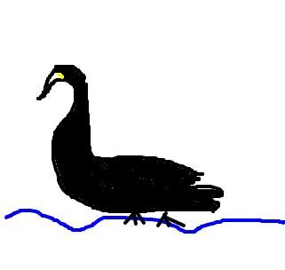 cisne negro