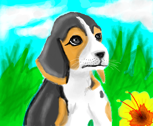 beagle :) p/ Natita