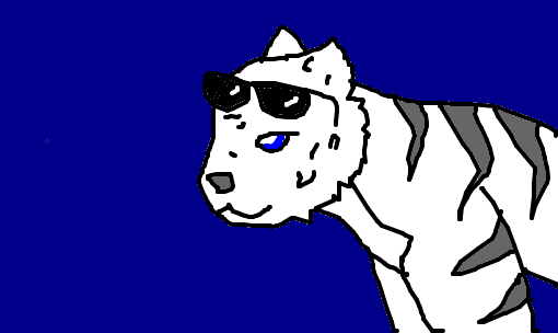 tigre branco