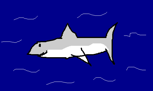 tubarãozinho