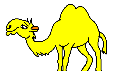camelo