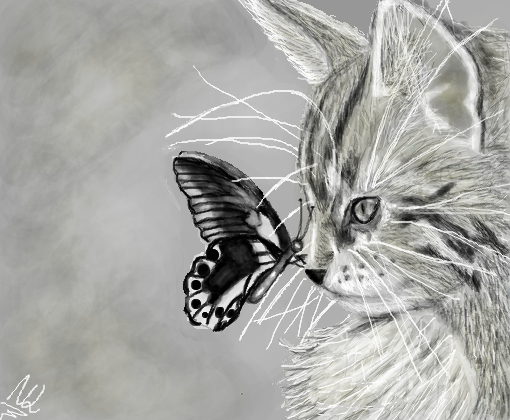 Desenho realista - O gato e a borboleta! The cat and the butterfly