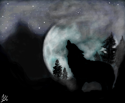 Lobo na Noite Para MFsz