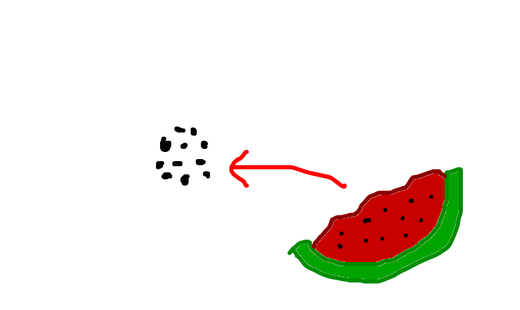 semente de melancia