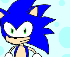 Sonic the hedgehog 