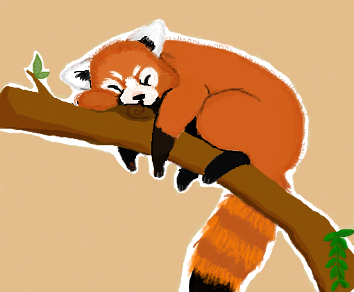 Panda Vermelho - Desenho de noobinha__ - Gartic