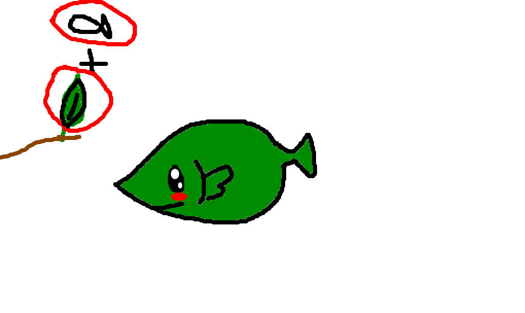 peixe-bolha