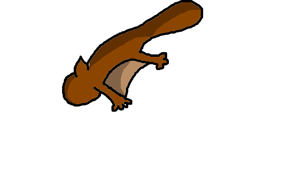 esquilo-voador