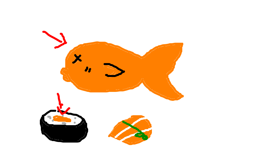 salmão