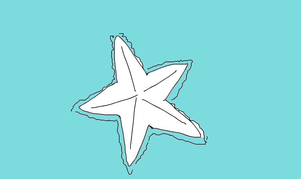 estrela-do-mar