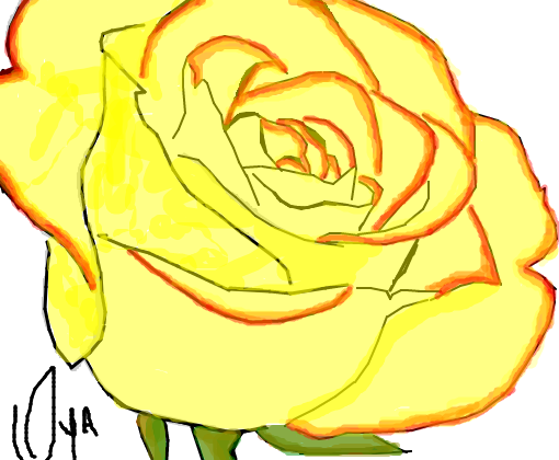 Rosa amarela 