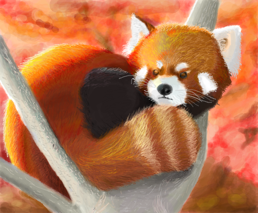 Panda-vermelho p/ Alastly