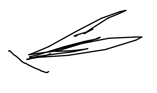 pitaya