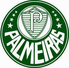 PalmeirasFc__