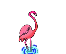 flamingo kk