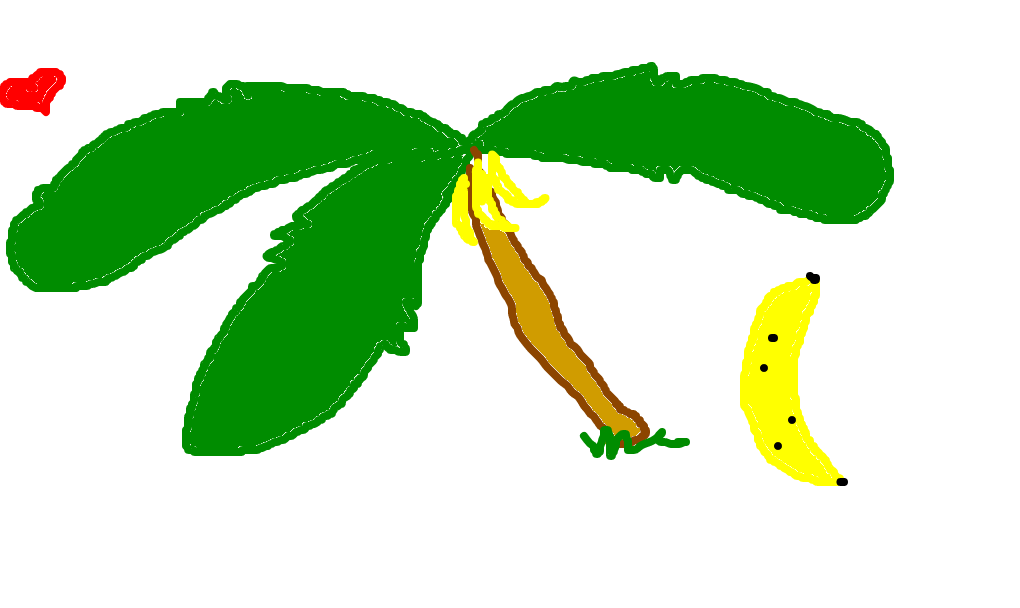 bananeira
