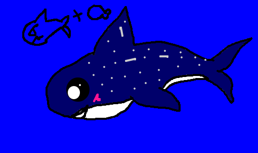 tubarão-baleia