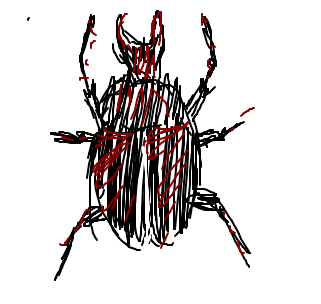 escaravelho