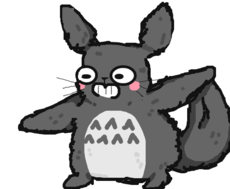 Totoro :v