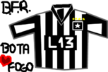 Botafogo eu te amo!