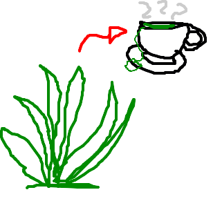 Vegetal - Desenho de hachi_ - Gartic