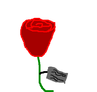 o nome da rosa