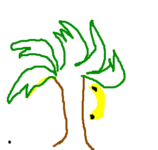 bananeira