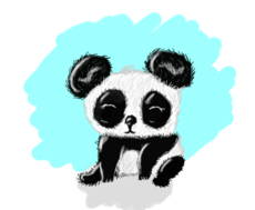 Panda ( VETT Bruna_Kowens )