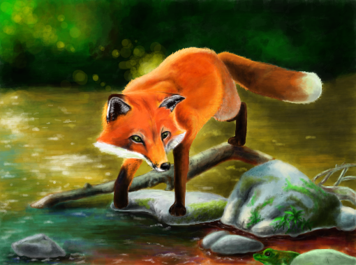 23 ideias de Raposas desenho  raposas desenho, fotos de raposa, raposa de  estimação