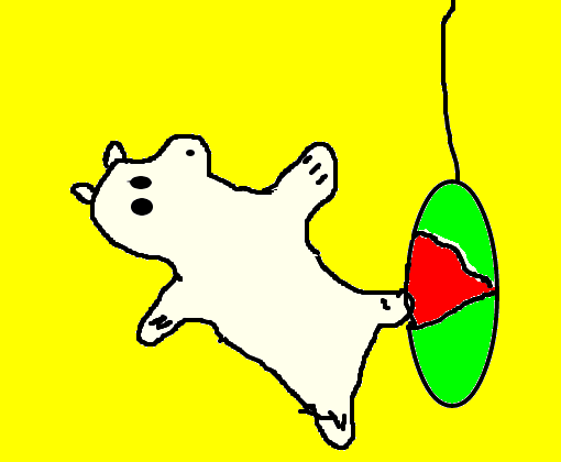 urso polar fazendo karatê 