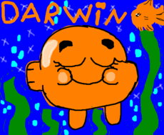 darwin o peixe